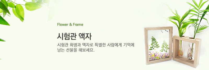 시험관액자