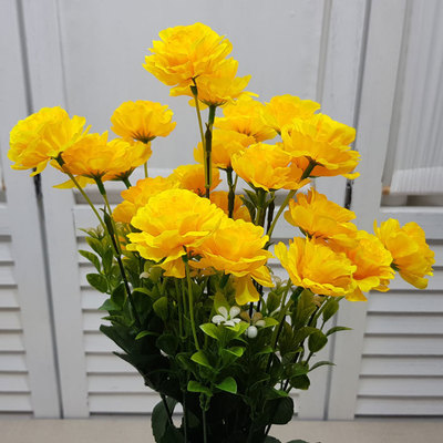 지니아부쉬-옐로우