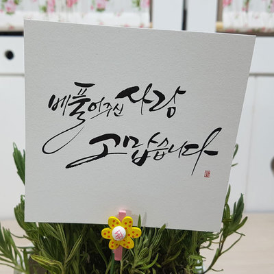 이지픽B(대)-베풀어주신(10장)