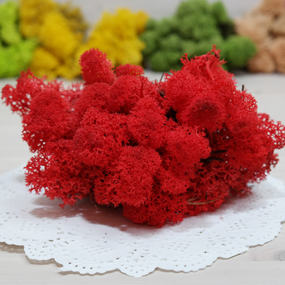 스칸디아모스-red(500g)