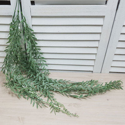 맹문아제비(화이트)