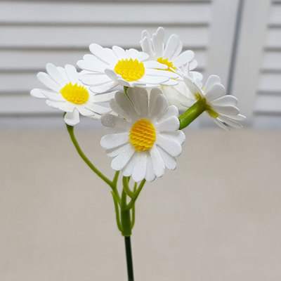 데이지비누꽃